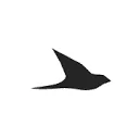 Ekster Coupon Codes